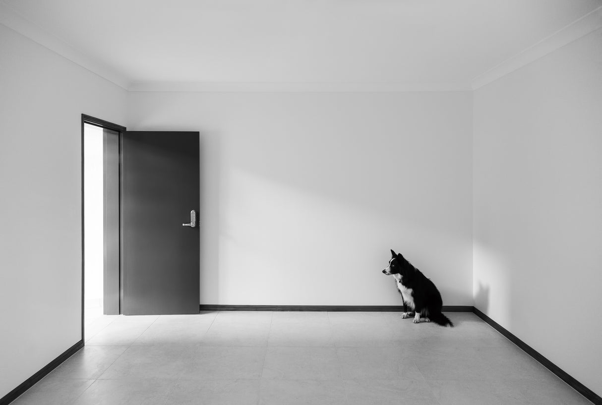Waiting in the Corner Poster och Canvastavla