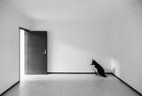 Waiting in the Corner Poster och Canvastavla