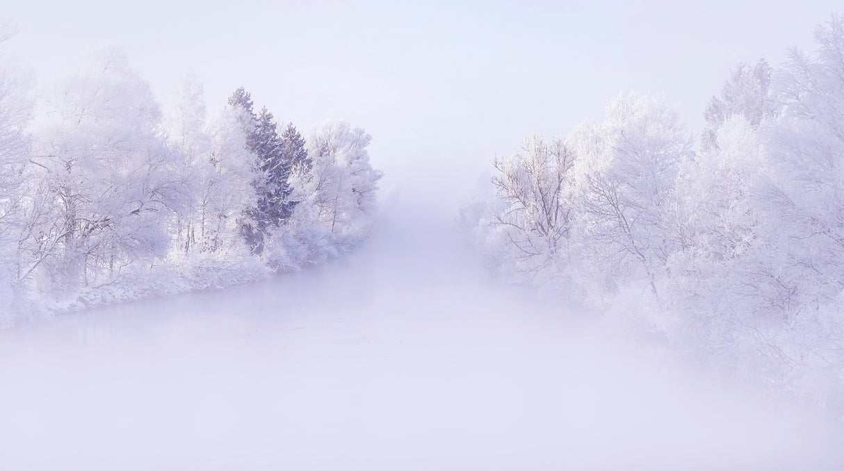 Deep Winter Poster och Canvastavla