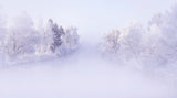 Deep Winter Poster och Canvastavla