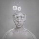 Cotton Mind Poster och Canvastavla