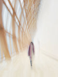 Towards the unknown Poster och Canvastavla