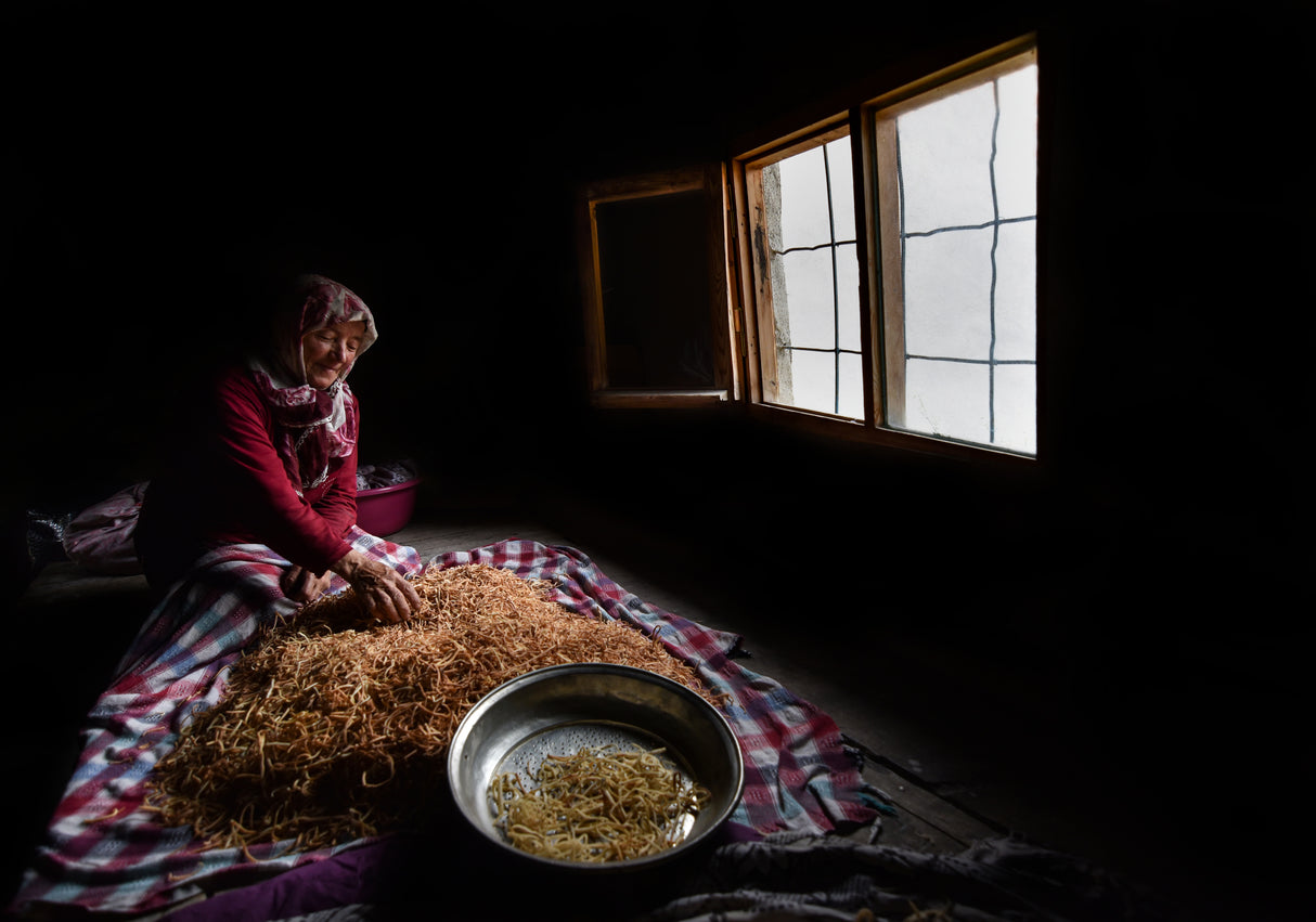 Anatolian Pasta (Erişte) Poster och Canvastavla