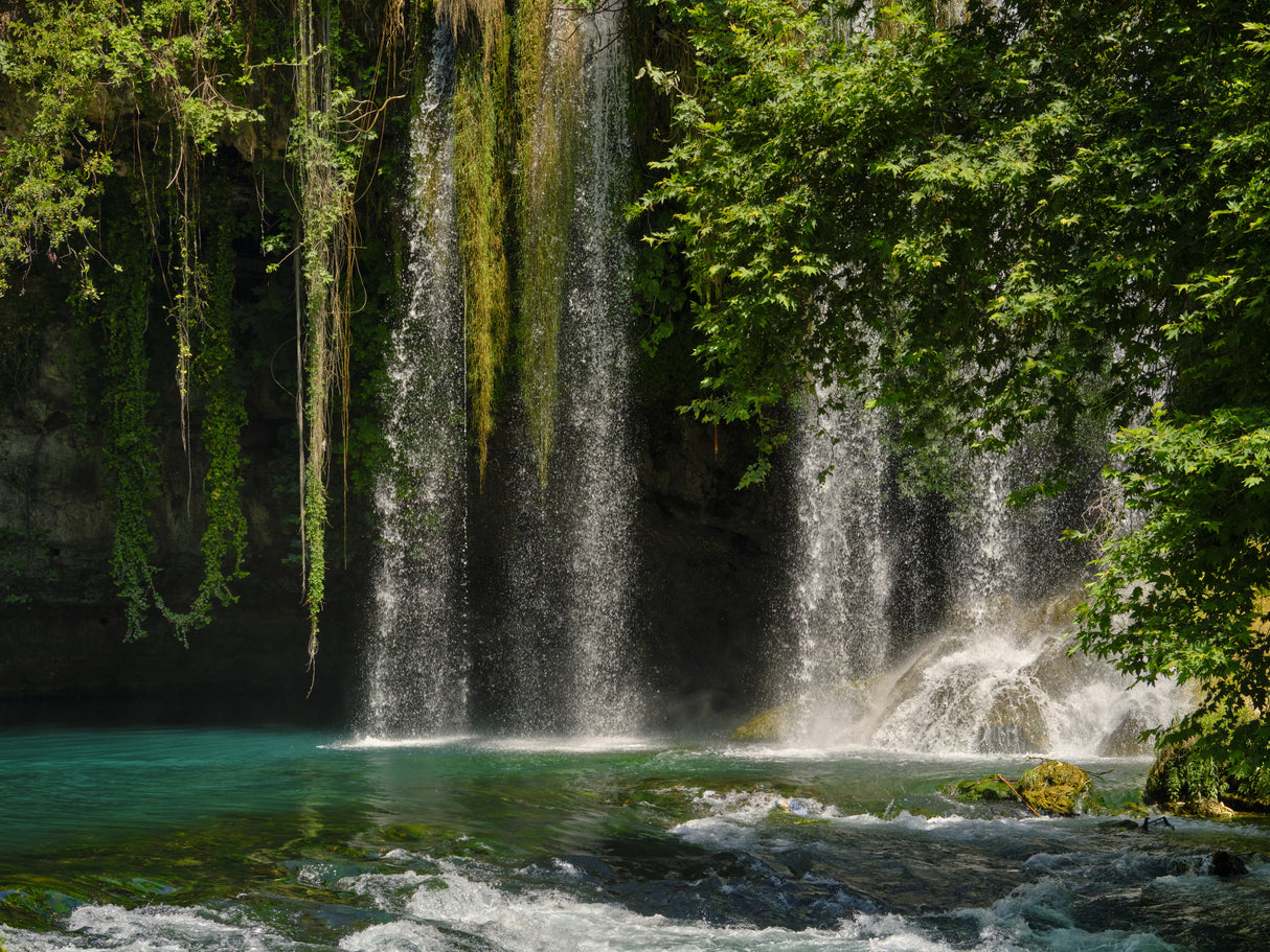 beautiful waterfall in the forest Poster och Canvastavla