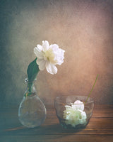 Two Peonies Poster och Canvastavla