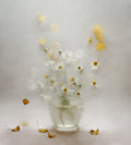 october daisies Poster och Canvastavla