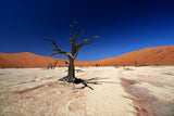 Sossusvlei Namibia Poster och Canvastavla