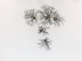 Winter trees Poster och Canvastavla