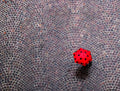 urban ladybug Poster och Canvastavla