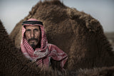 Bedouins of Iraq Poster och Canvastavla