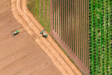 Fields geometry Poster och Canvastavla