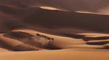 Shadows in the Desert Poster och Canvastavla