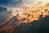 Morning Light Poster och Canvastavla