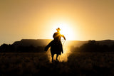 The Cowboy Poster och Canvastavla