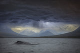 Rough seas Poster och Canvastavla