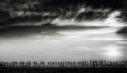 Clouds dancing with the trees... Poster och Canvastavla