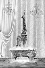 Giraffe &amp; Bubbles Black &amp; White Poster och Canvastavla