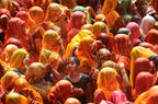 Women in Holi Poster och Canvastavla