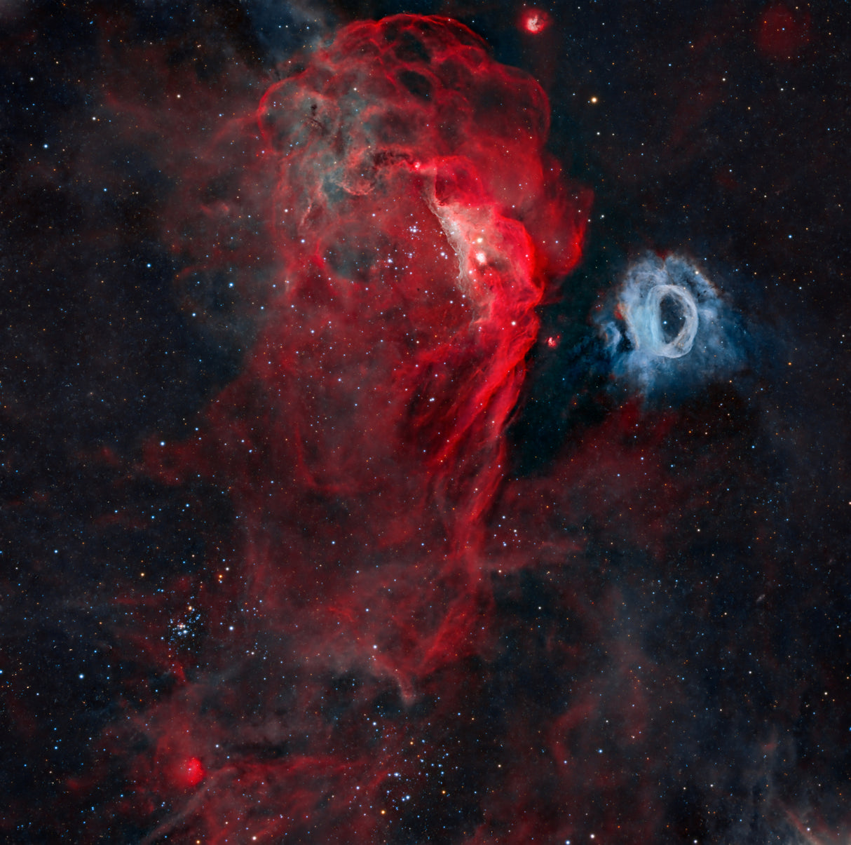 The Cosmic Reef Poster och Canvastavla