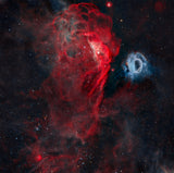 The Cosmic Reef Poster och Canvastavla