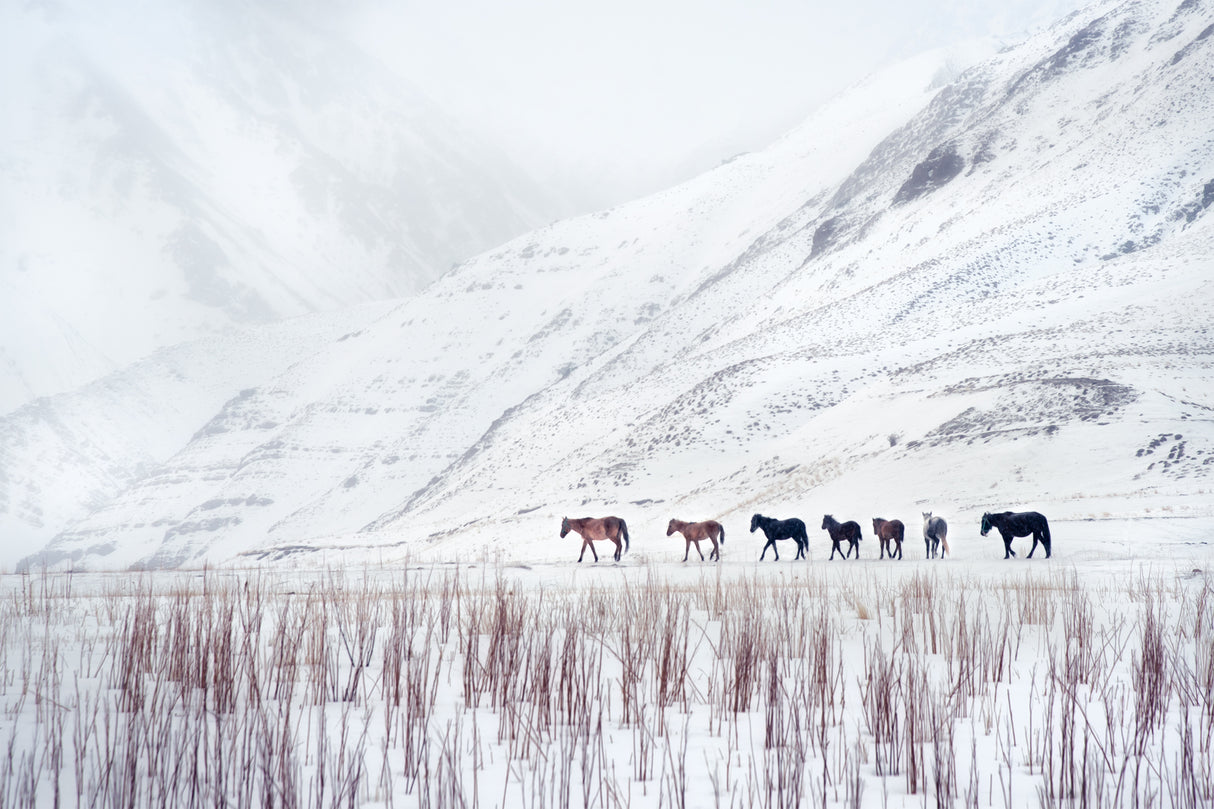 On a Cold Winter's Day Poster och Canvastavla