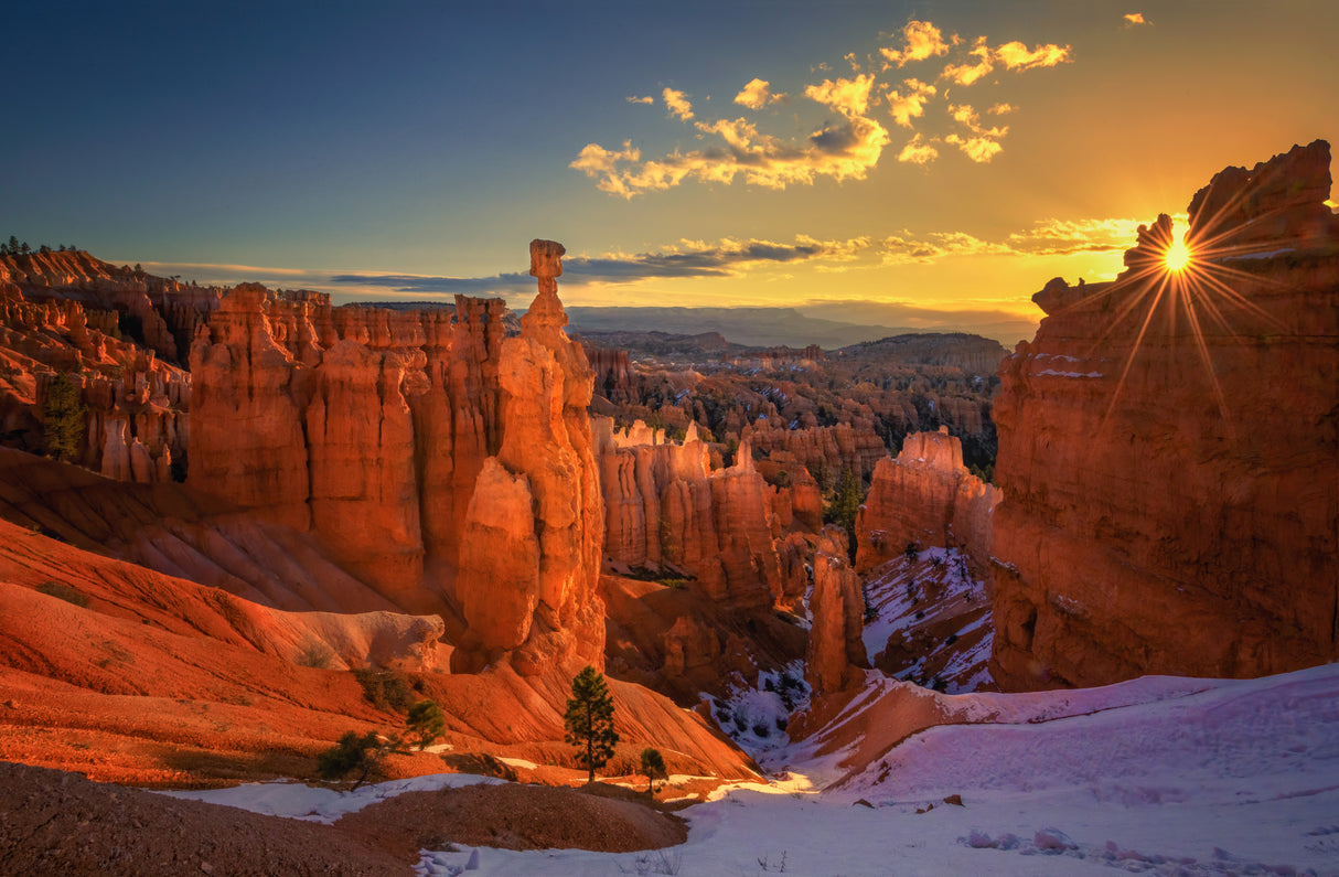 Bryce Canyon Spring Poster och Canvastavla