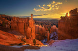 Bryce Canyon Spring Poster och Canvastavla