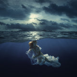 sea tale Poster och Canvastavla