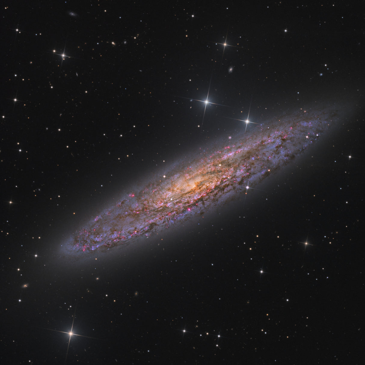 The Silver Coin Galaxy Poster och Canvastavla