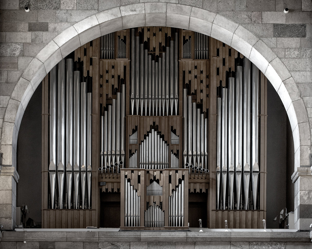 The symmetry of music Poster och Canvastavla
