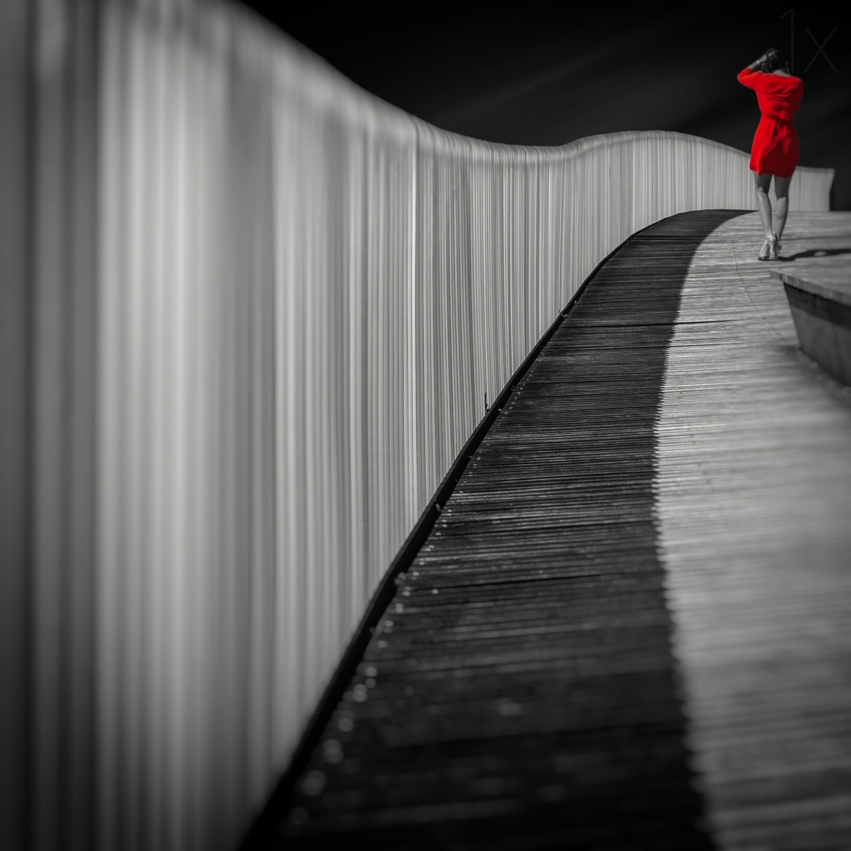 Woman in red Poster och Canvastavla