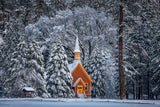 Merry White Christmas to All Poster och Canvastavla