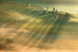 Mist... Poster och Canvastavla