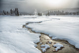 Winter at Yellowstone Poster och Canvastavla
