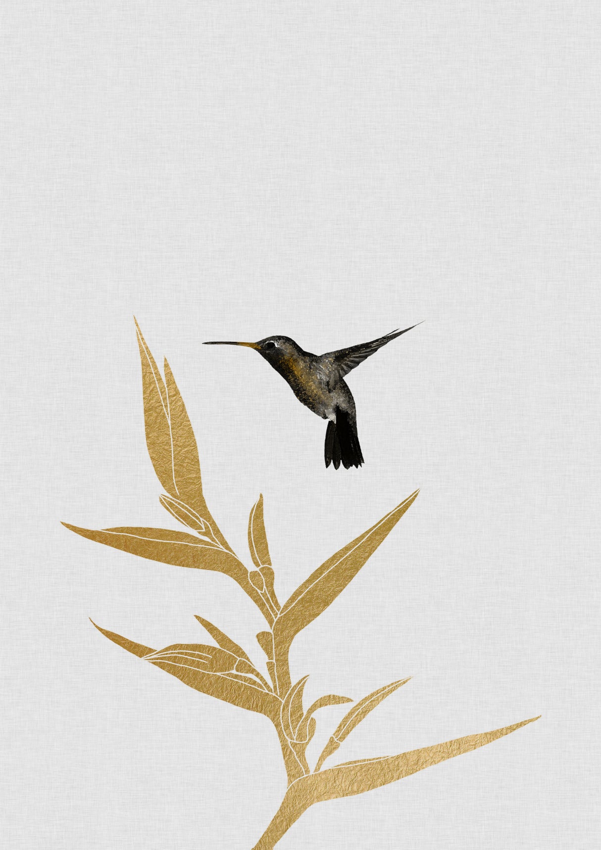 Hummingbird & Flower Ii Poster och Canvastavla