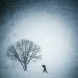 Snow day Poster och Canvastavla