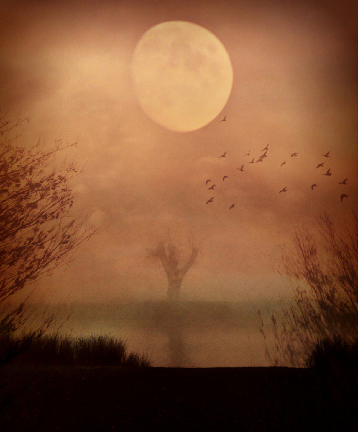 Some Time After... Poster och Canvastavla