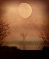 Some Time After... Poster och Canvastavla