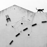 Black cat Poster och Canvastavla