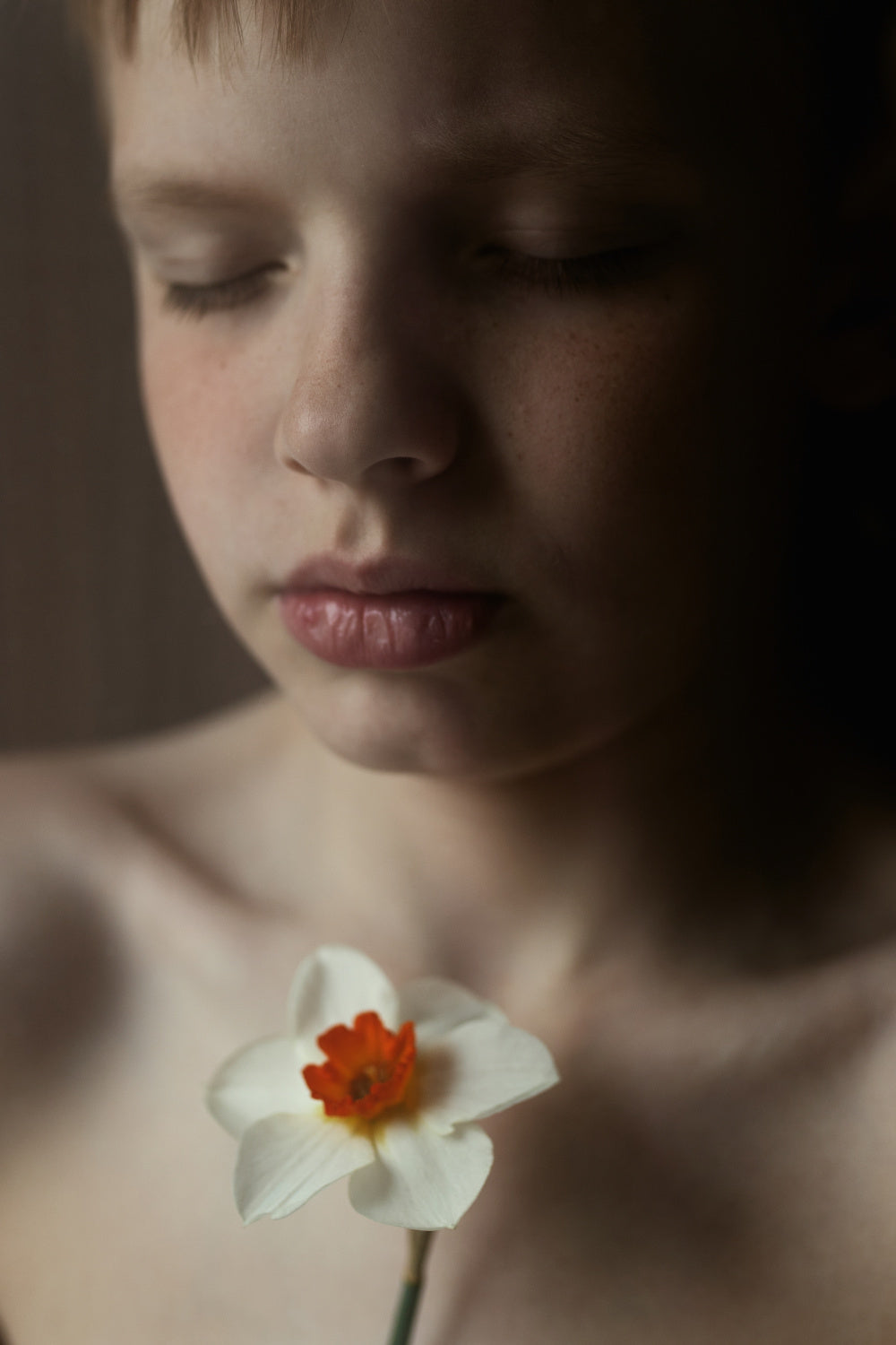 Narcissus Poster och Canvastavla