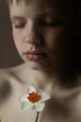 Narcissus Poster och Canvastavla