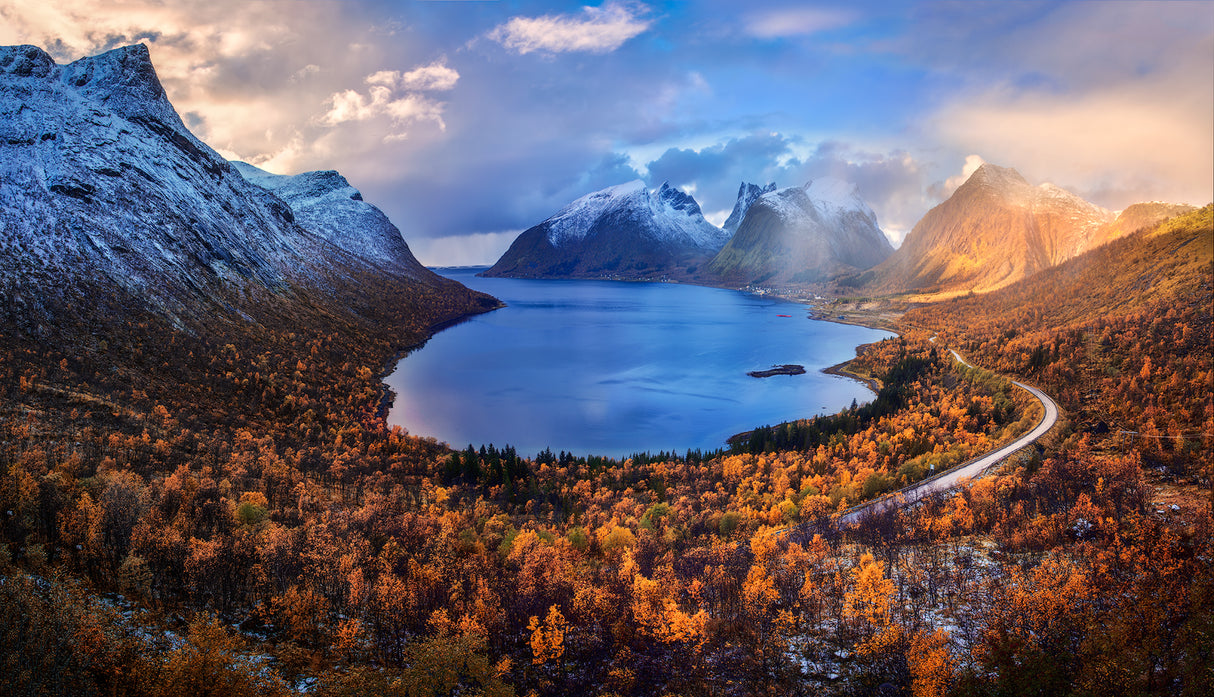 Autumn in Senja Poster och Canvastavla