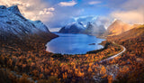 Autumn in Senja Poster och Canvastavla