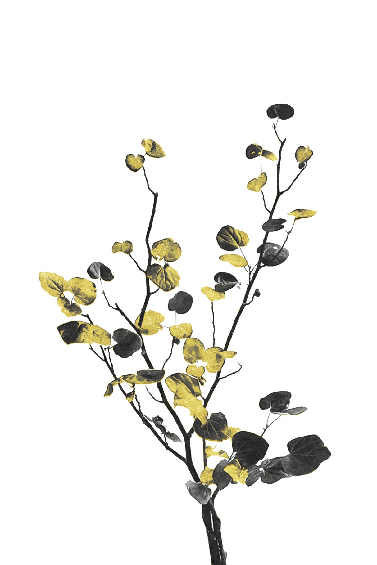 Flower Minimal Black and Gold 07 Poster och Canvastavla