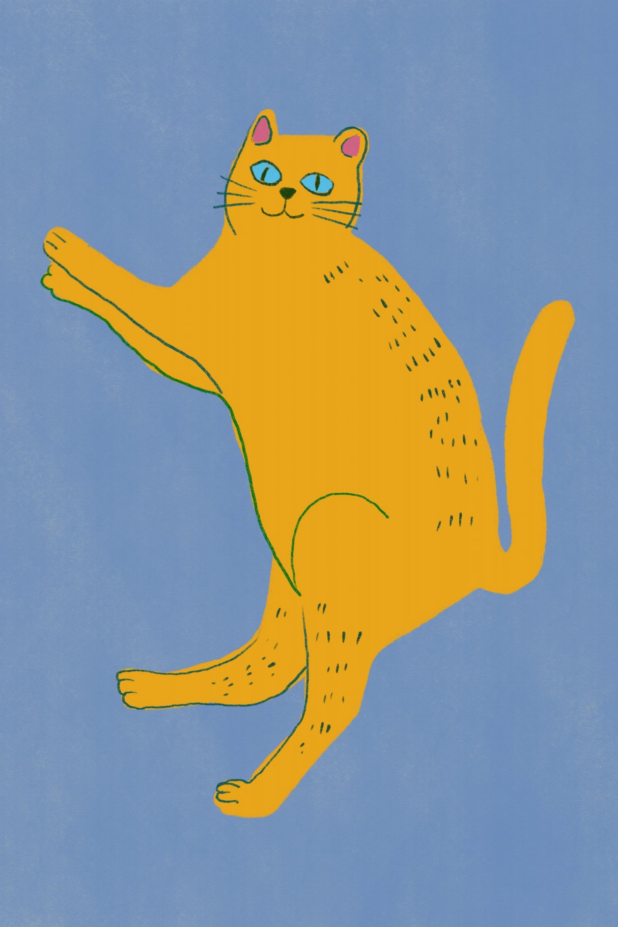 Yellow cat Poster och Canvastavla