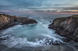 Black Point Cove Poster och Canvastavla