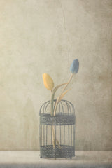 But Together... Poster och Canvastavla