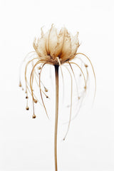 Tentacle Flower Poster och Canvastavla