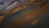 Flying Over the Magic Lake Poster och Canvastavla
