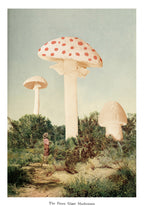 The Finest Giant Mushroom Poster och Canvastavla